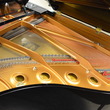 2003 Yamaha GC1 Grand Piano - Grand Pianos